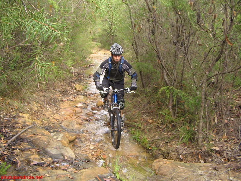 20090405-Mooney 197.jpg